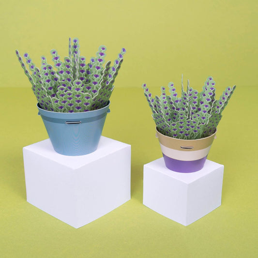 Calming Lavender Paper Plant Kit | Make Your Own | FSC Card | Age 5+