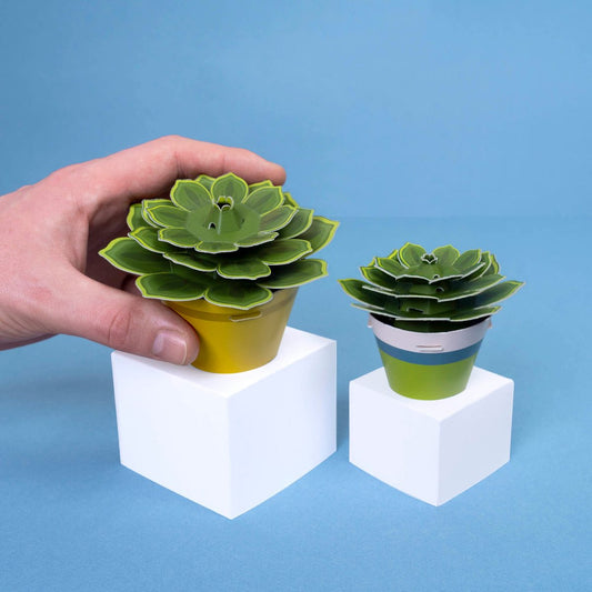 Succulent Paper Plant Kit | Make Your Own | FSC Card | Age 5+