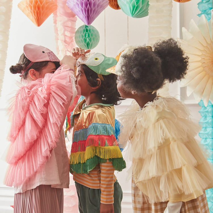 Dressing Up Costumes