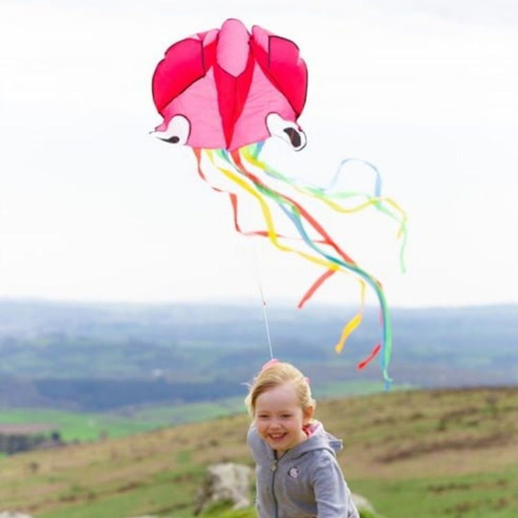 Toys & Gift Ideas