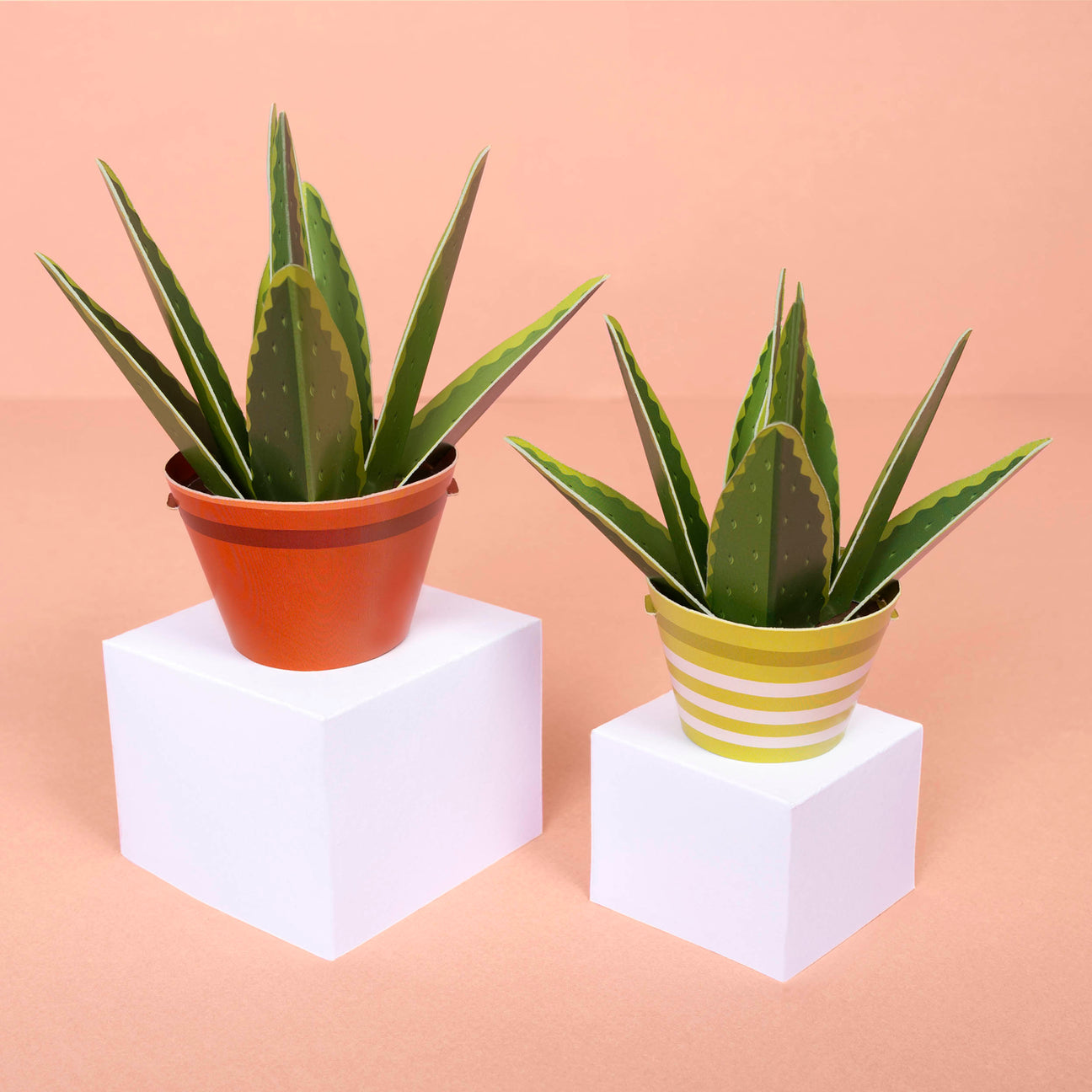 Make Your Own Mindful Aloe Vera Paper Plant Kit — Age 6+
