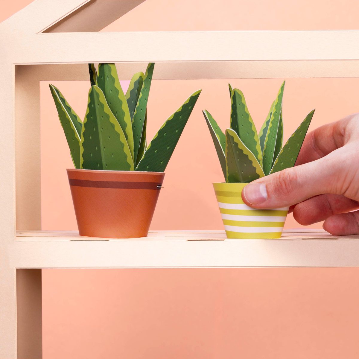 Make Your Own Mindful Aloe Vera Paper Plant Kit — Age 6+