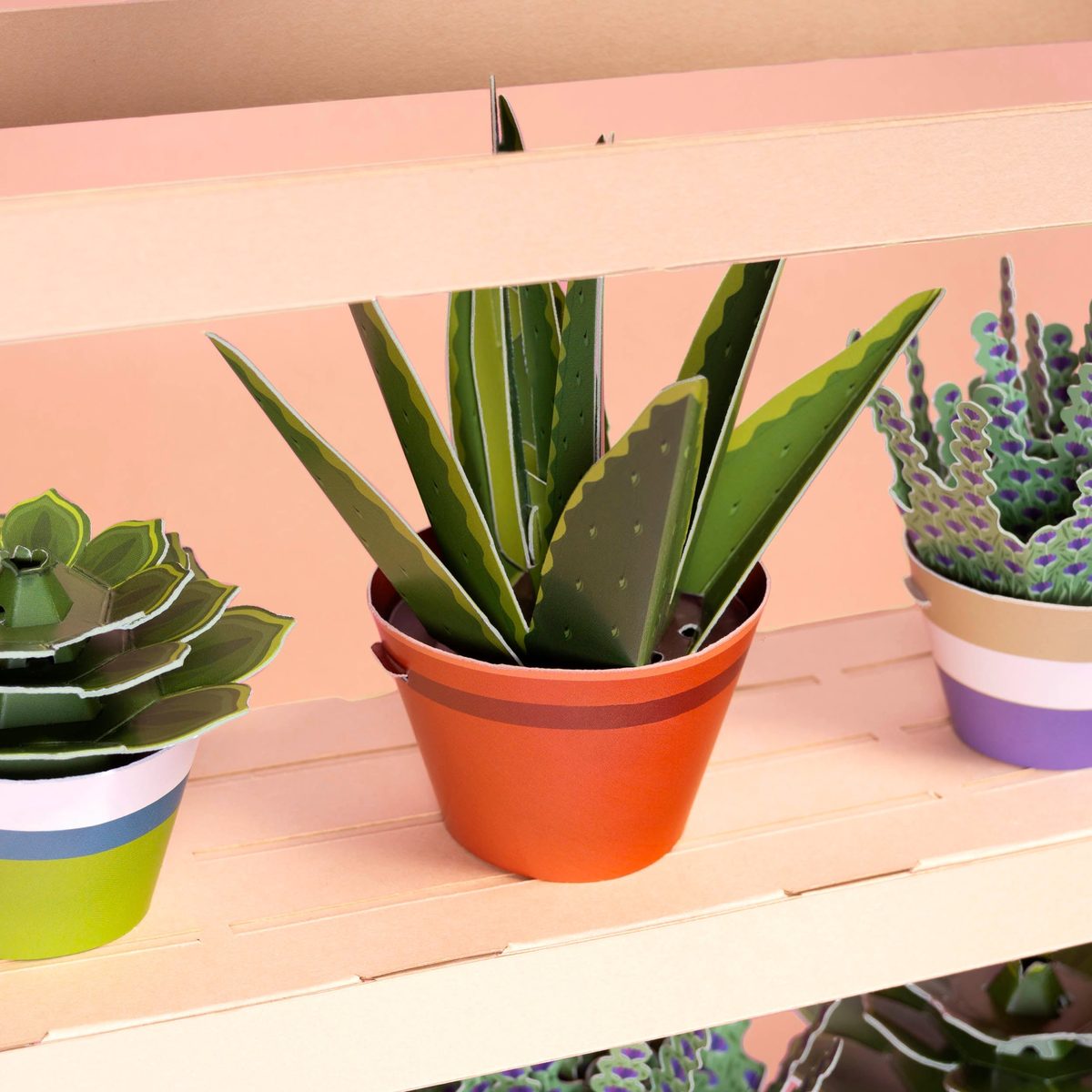 Make Your Own Mindful Aloe Vera Paper Plant Kit — Age 6+