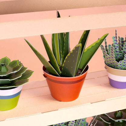 Make Your Own Mindful Aloe Vera Paper Plant Kit — Age 6+