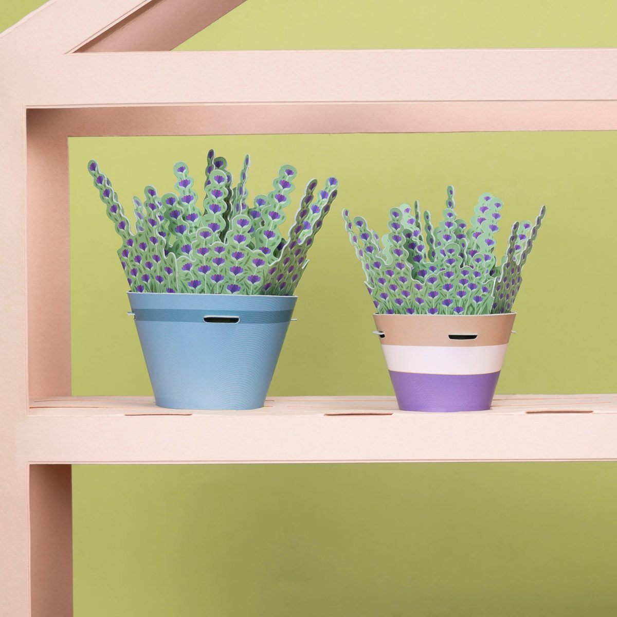 Calming Lavender Paper Plant Kit | Make Your Own | FSC Card | Age 5+