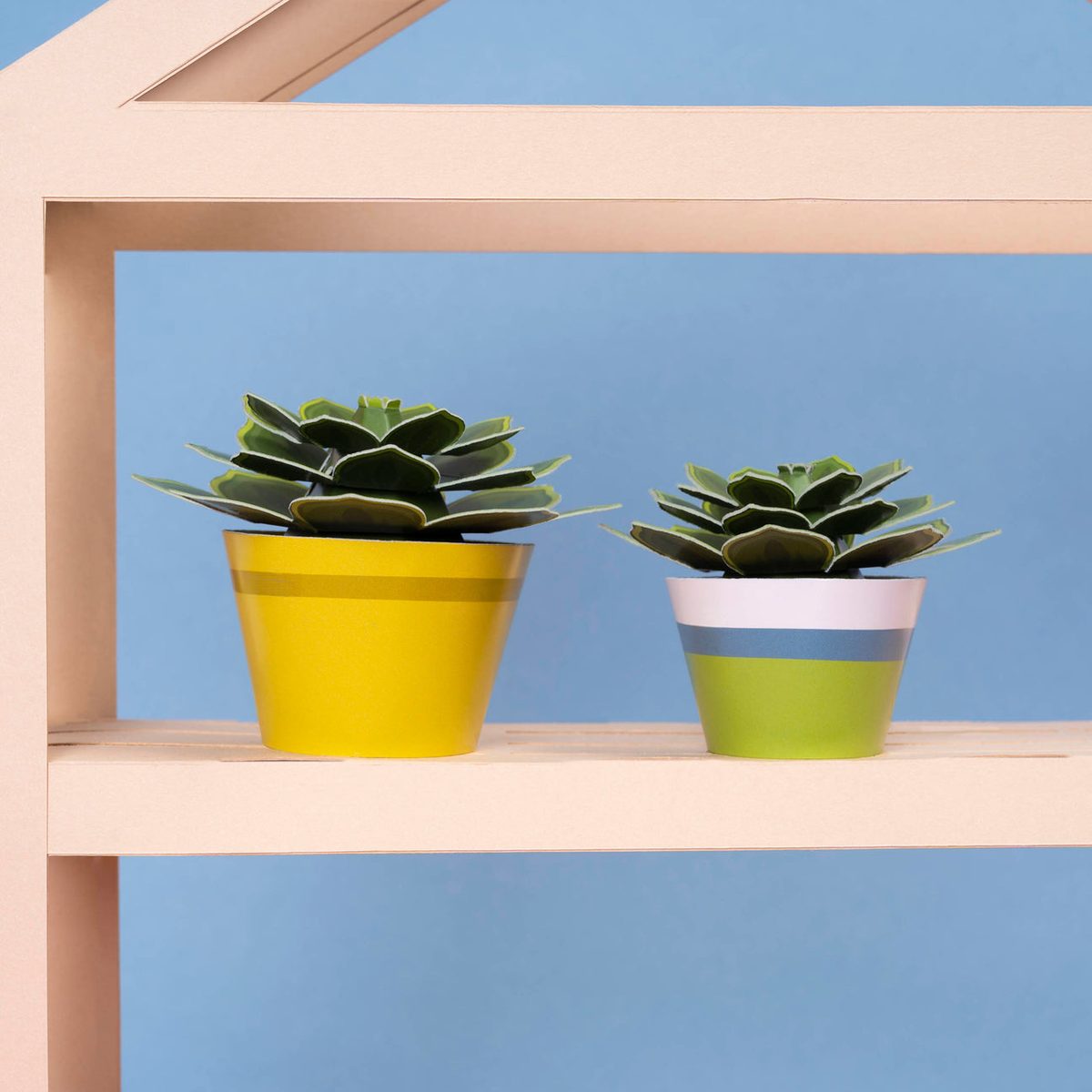 Succulent Paper Plant Kit | Make Your Own | FSC Card | Age 5+