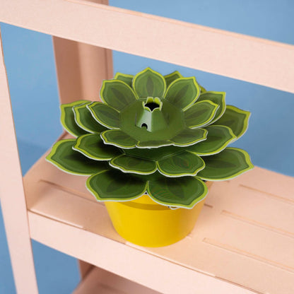 Succulent Paper Plant Kit | Make Your Own | FSC Card | Age 5+